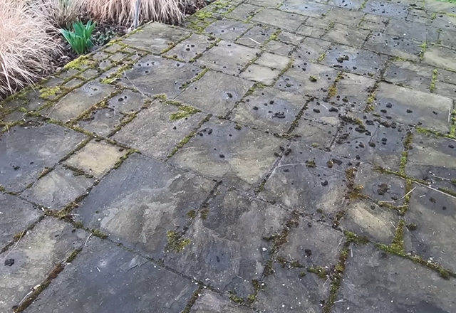 pressurewashing cleaning services in Basingstoke - Before cleaning 2